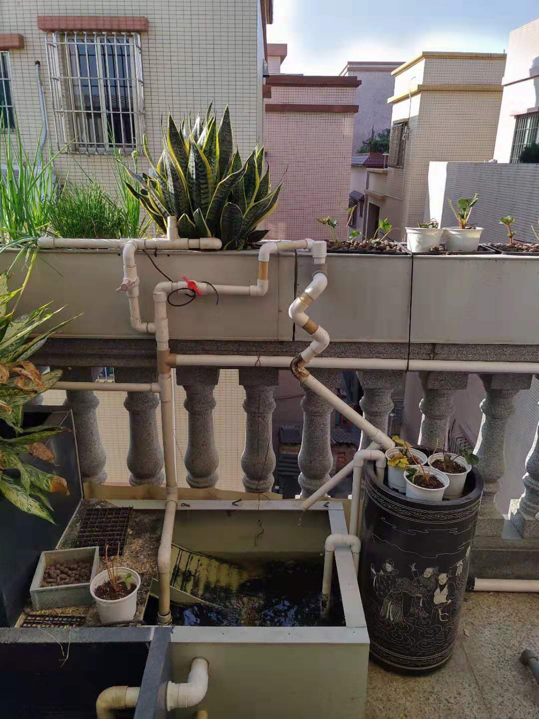 龟菜共生系统,龟菜共生图纸