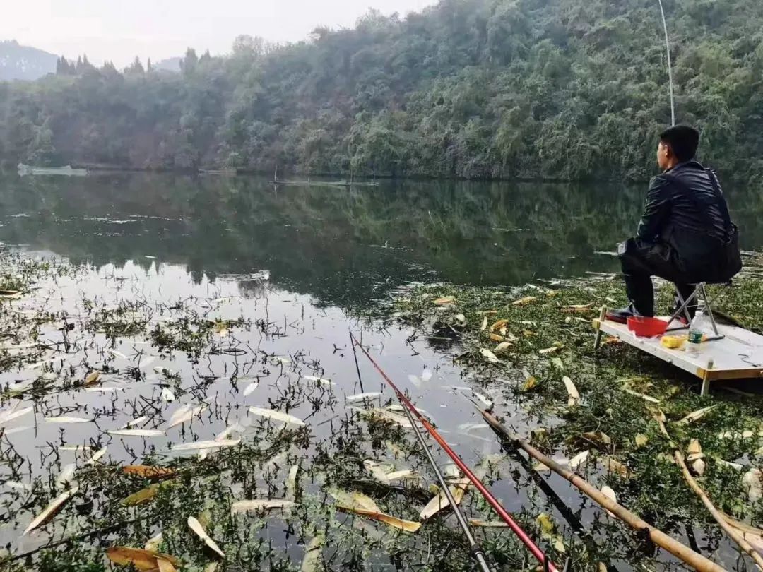 野奢不被鄙视?问问那些爱钓鱼的老孩子们,他们有活蹦乱跳的经验