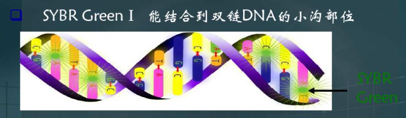 核酸检测pcr的方法,pcr核酸检测技术结果分析