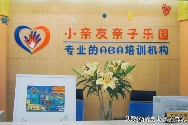 如何教自闭症孩子正确的社交,如何与自闭症孩子线上建立感情