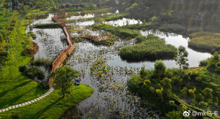 汕头赏花一日游最佳地,汕头最值得去的公园