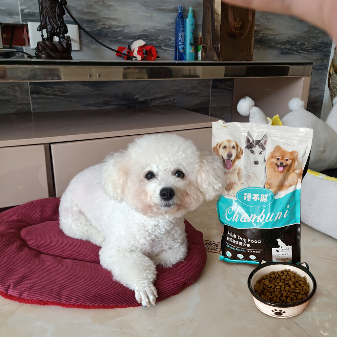 纽顿狗粮测评排行榜前十名,纽顿狗粮和耐吉斯档次一样吗