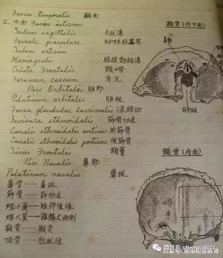 从复旦到川大，四所医科大学的学生课堂笔记：医学生有多不容易？