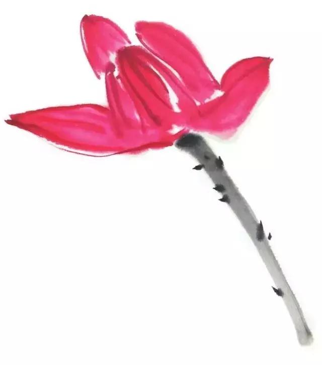 白描荷花的画法图片,如何画荷花国画白描