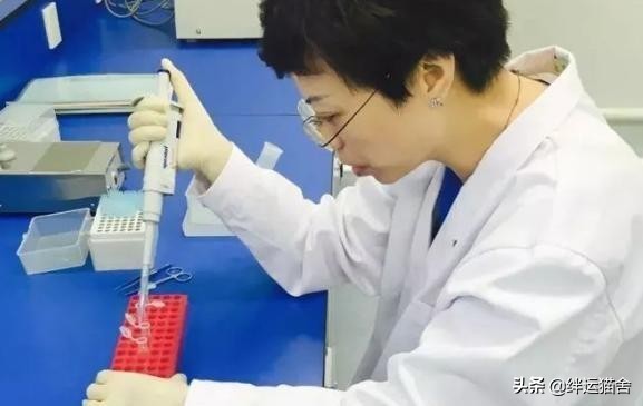 亲子鉴定师邓亚军口述,亲子鉴定邓亚