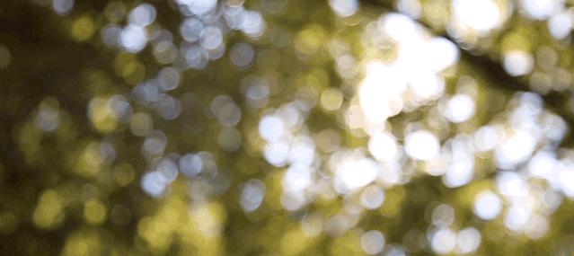 温州5个宝藏古村,温州宝藏打卡地