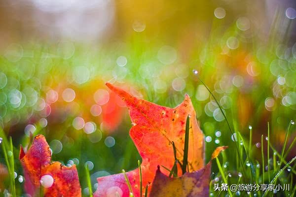 照片不清晰如何搞清晰,照片模糊没有质感怎么办