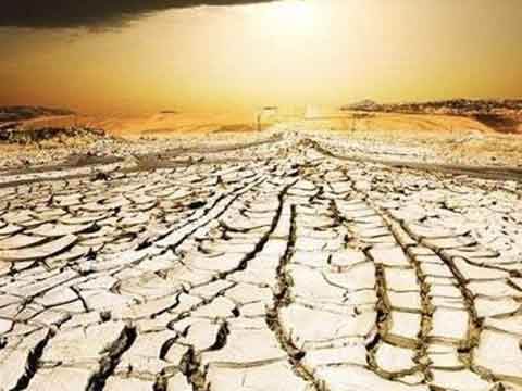 帕劳水母湖里的黄金水母去哪了,帕劳水母湖里的水母