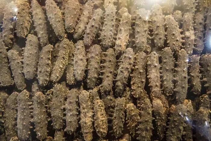 海外华人回家过年千万别带这些*禁品违**，一不小心就成了“*私走**”