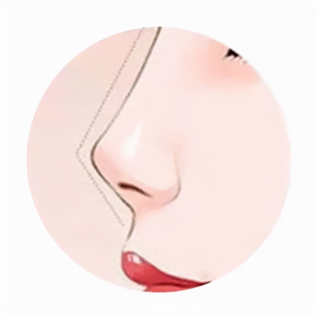 鼻子短塌扁图片,广西的鼻子为什么又大又扁