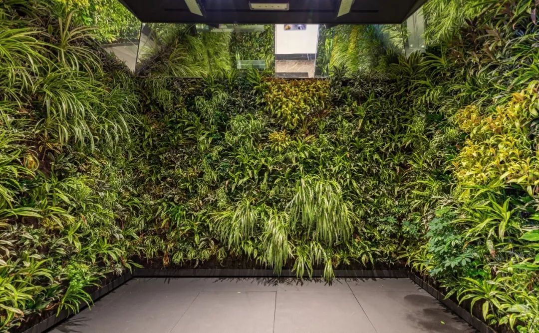 2.95亿的豪宅,2.99亿豪宅