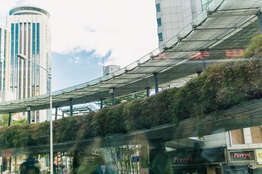 深圳观光巴士生态蓝线,深圳观光线巴士