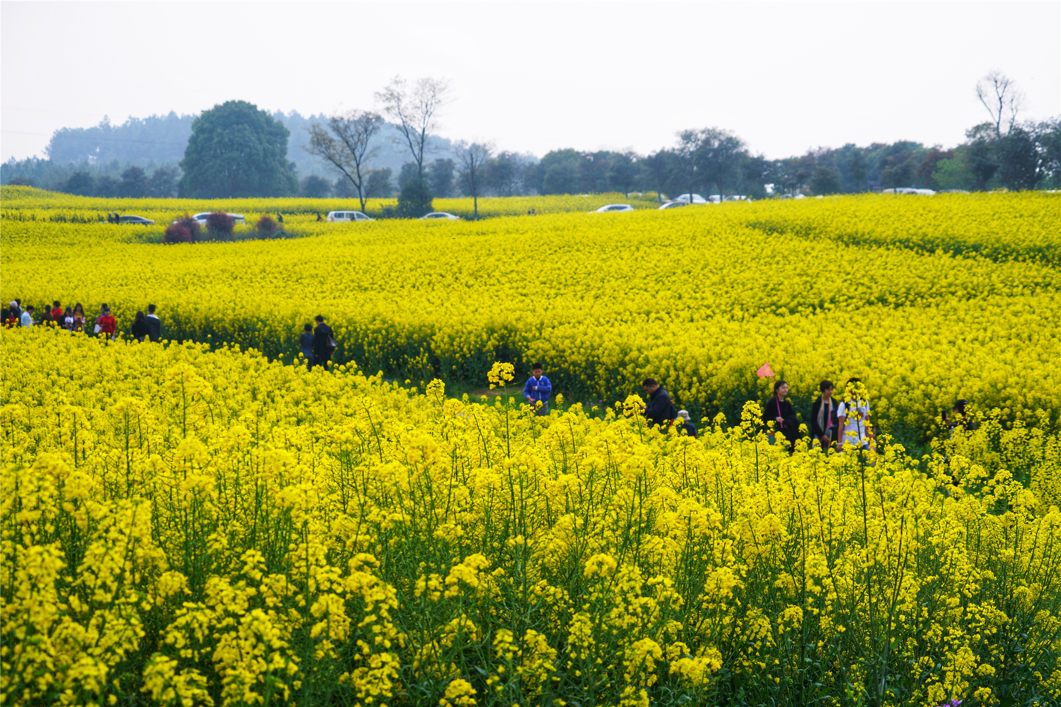 中国第一慢城高淳桠溪,南京高淳桠溪慢城