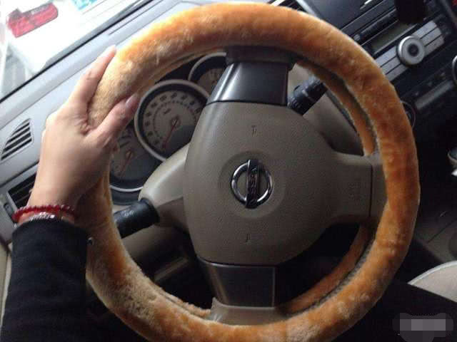 “土掉渣”的4个汽车装饰，看到最后一个，网友：奇葩