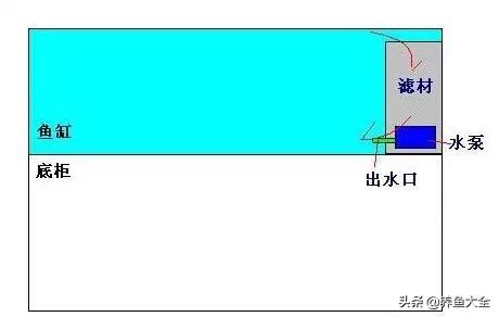 鱼缸各种过滤方式效果排名,细谈各种鱼缸过滤方法