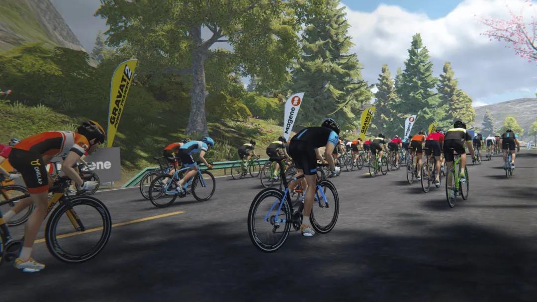 细分领域全球第一,青岛迈金智能科技有限公司