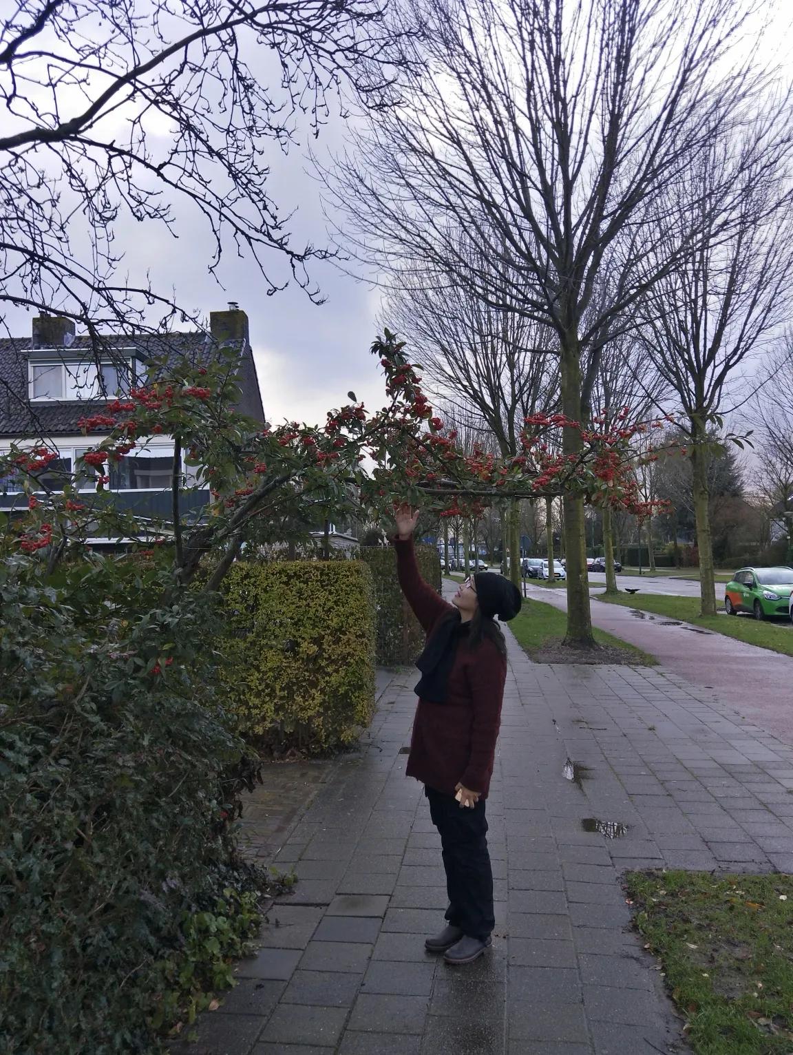 第一次出国就去荷兰,去荷兰怎么去最方便