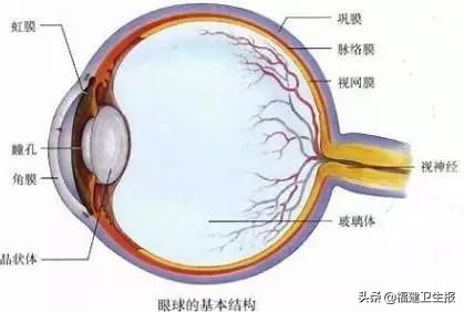 男子打羽毛球被打右眼,男子打羽毛球被击伤眼睛