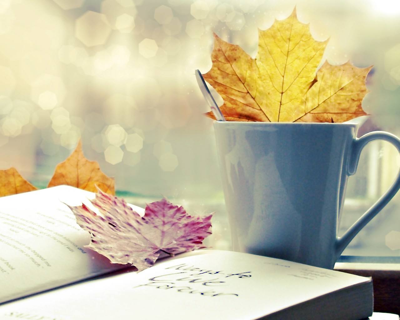 金融类论文去哪个网站找资料,论文发表多久能在网站上查询