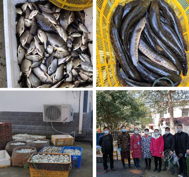 赤壁：小城大爱缤纷瞬间（二）