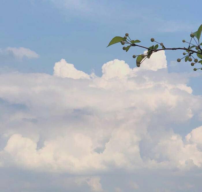 婚姻不要以爱之名索取,婚姻保持新鲜感方法