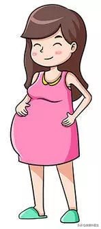 乾坤大挪移臀位变头位,臀位转头位乾坤大挪移多少周