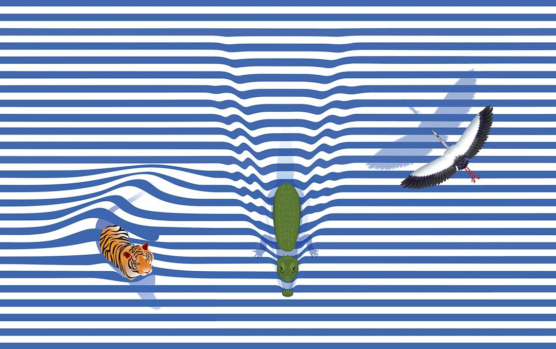 泰国风格包装设计,泰国风卡通形象包装