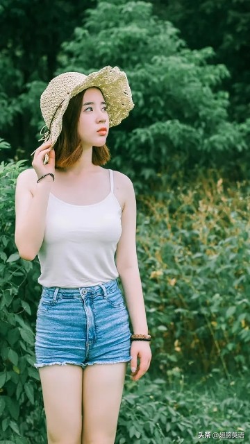 一张图总结定语从句,分割定语从句怎么用