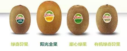 新西兰佳沛金果销售时间,2023年新西兰佳沛金果