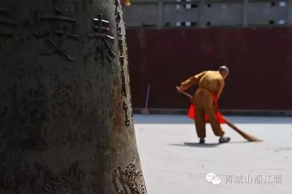 青城山熊猫谷都江堰一日游攻略,熊猫谷青城山都江堰一日游攻略