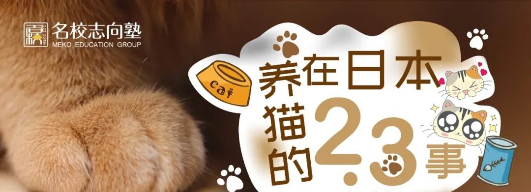日本留学生养猫怎么带回国,名校志向塾东京地址