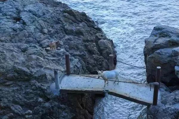 上海附近适合三五天游玩的海岛,离上海最近的绝美海岛