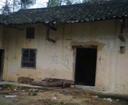 被穷养长大的姑娘,被穷养的女孩后来怎样了