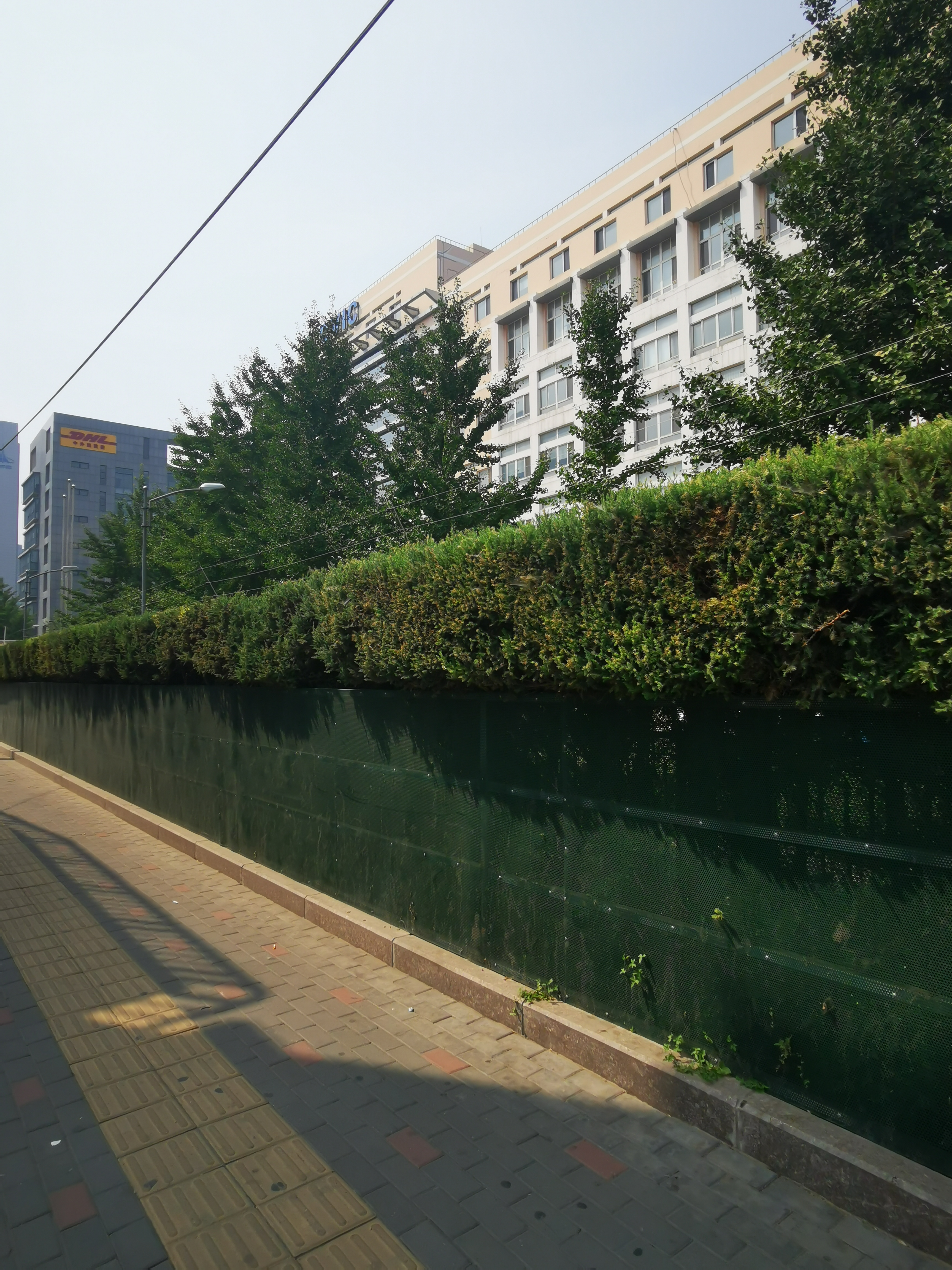 如何使民不为盗?要爱民利民,还要"使民无知无欲",对吗?