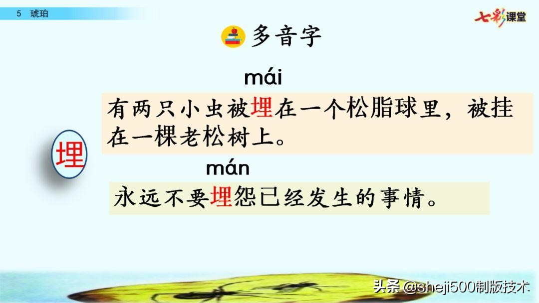 四年级语文下册第5课琥珀知识点,语文书四年级下册琥珀预习分段