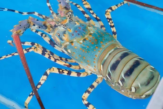 领略海口美丽风光，尝尽海口的各种美食