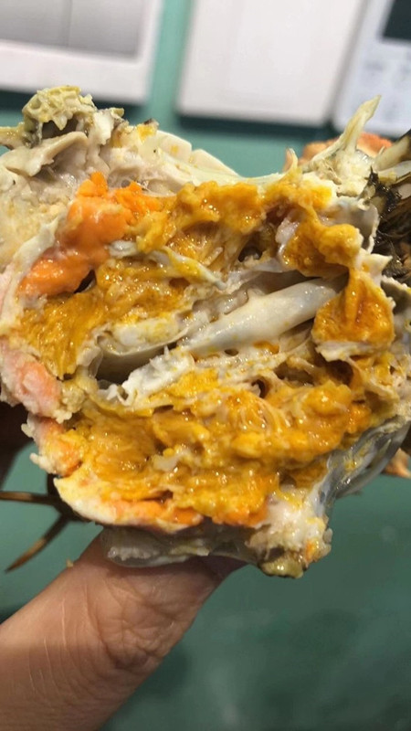 秋风起吃蟹忙吃蟹的禁忌您知道吗,秋风起蟹脚痒一年一度吃蟹季