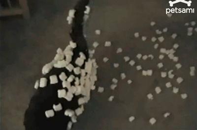 预防身体静电的小妙招,怎样防止静电打到人