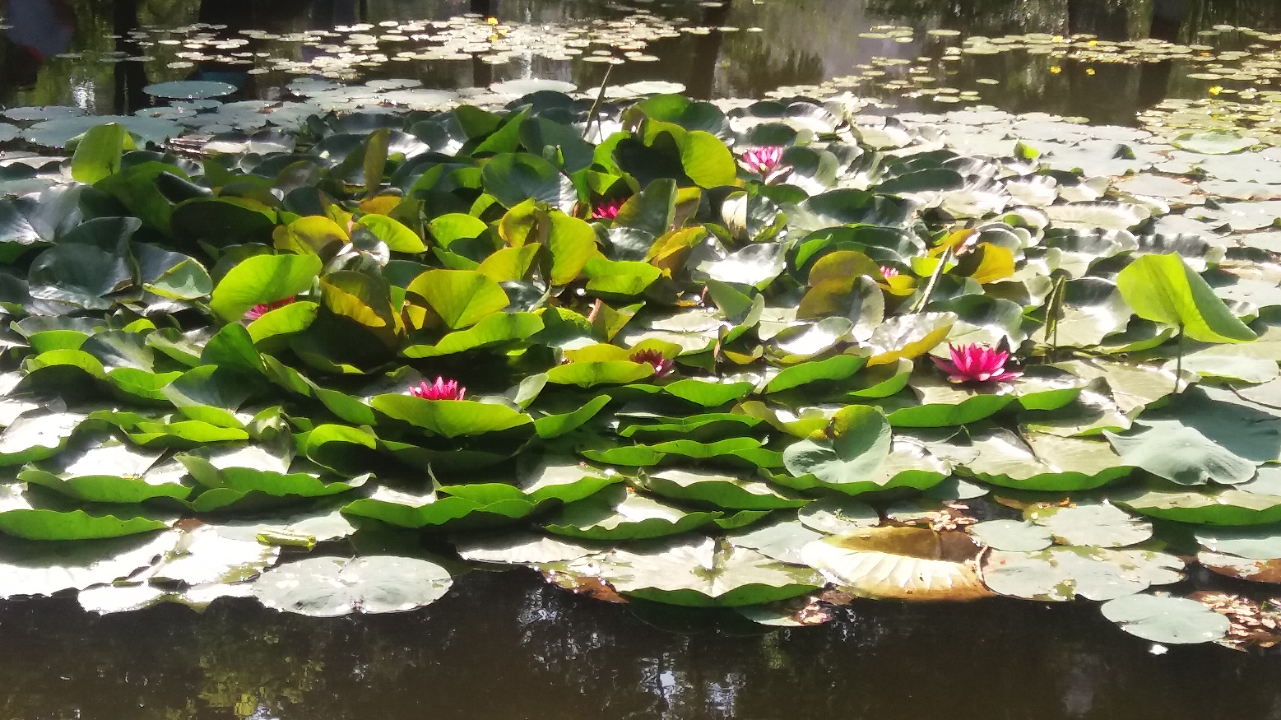 搬迁出来的幸福生活,乔迁新居幸福如意身体健康