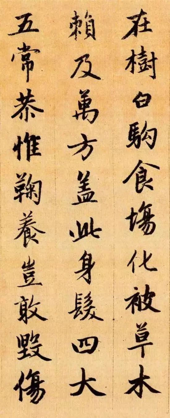 千字文四种书法对照表,千字文有词字吗