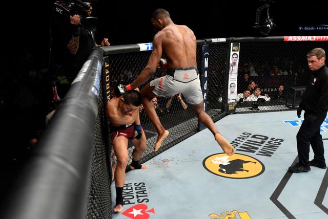 ufc比赛回放站立,ufc赛事专业性