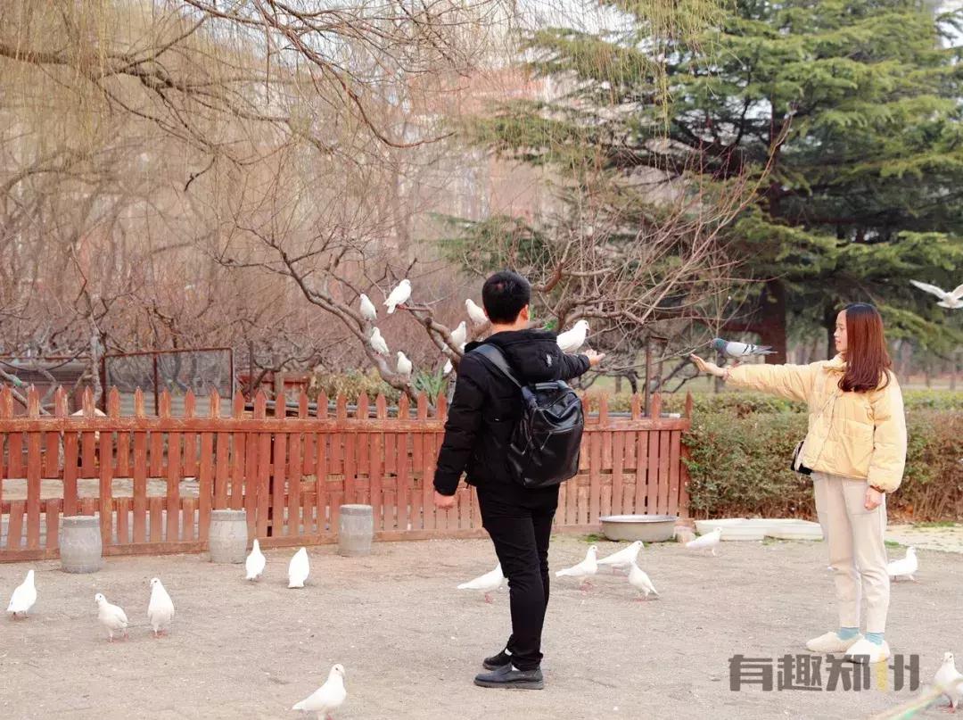 郑州世纪欢乐园实力演绎，什么叫“一手好牌打得稀烂”