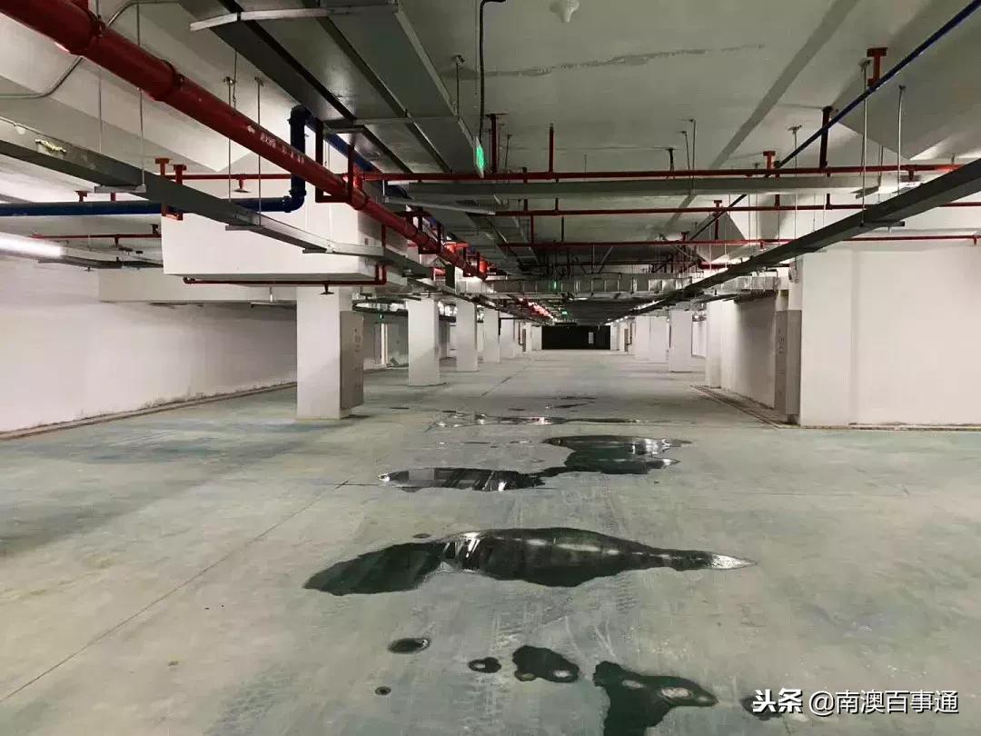 汕头火车站新开通动车线吗,汕头有新开通动车吗