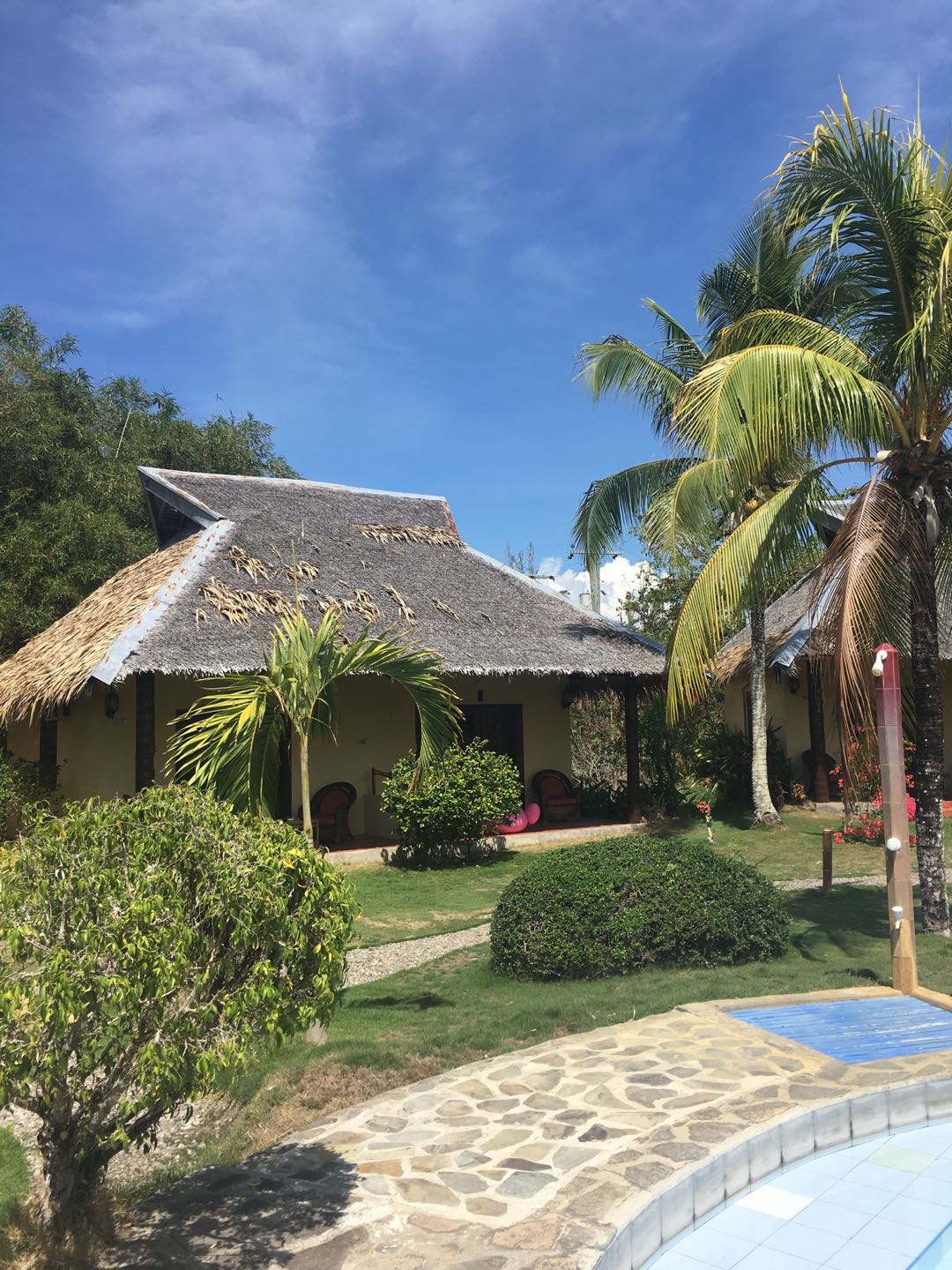 国内游客在国外被侵犯,中国游客去国外旅行被遇到抢劫犯