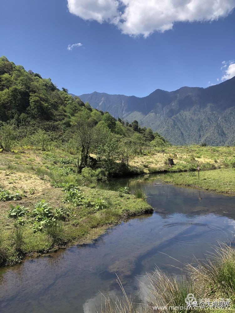 四川黑竹沟之谜,四川黑竹沟探险之旅