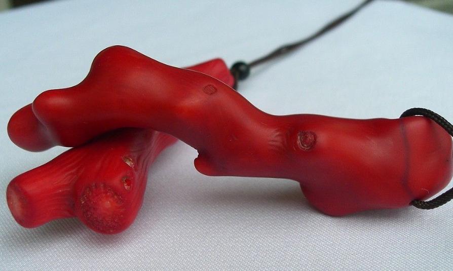 红珊瑚最怕什么,红珊瑚警惕