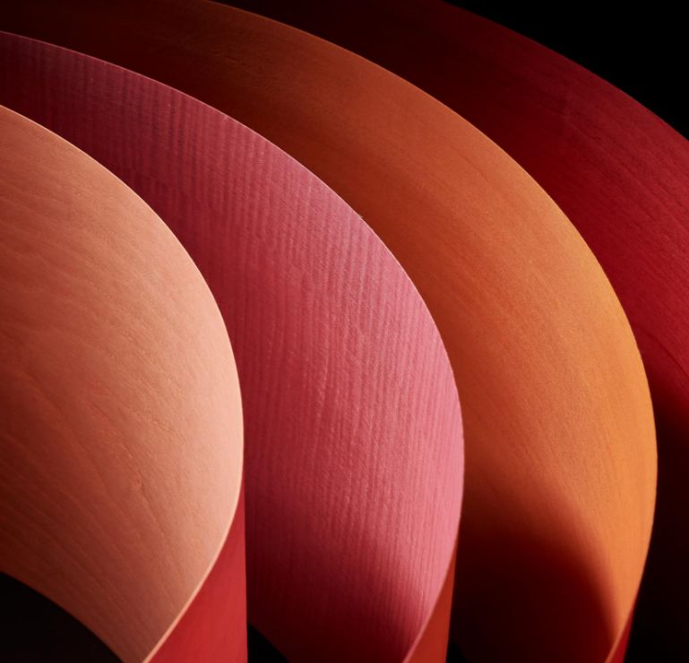 木皮染色材料视频,常见天然木皮