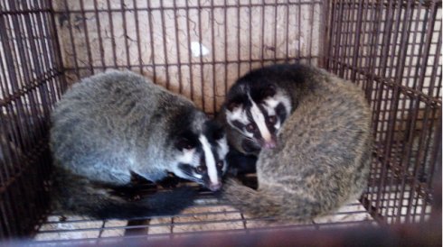 运城市畜牧兽医发展中心,畜牧局包点村扶贫工作方案