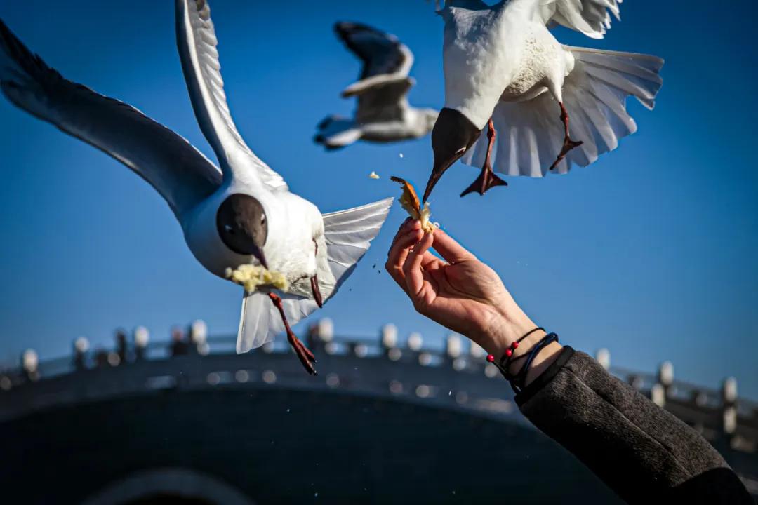香港第14届全国摄影艺术展,第29届全国摄影艺术展览获奖名单