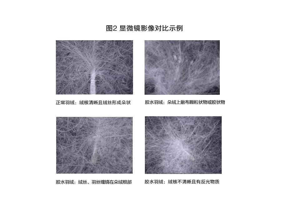 充绒量500以上的羽绒服测评,保暖羽绒服官方测试